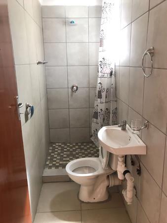 Studio apartment in Queenswood