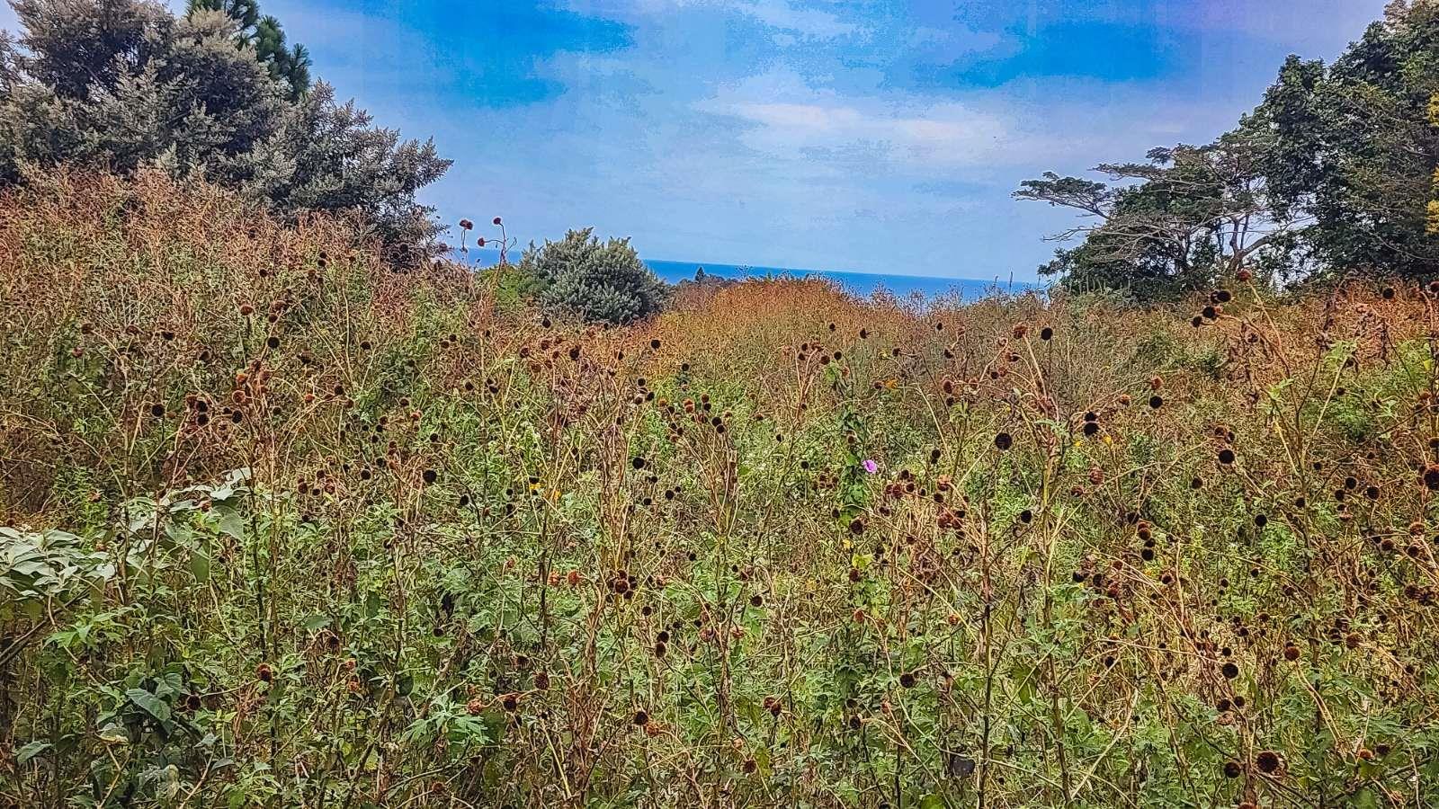 728 m² Land available in Salt Rock