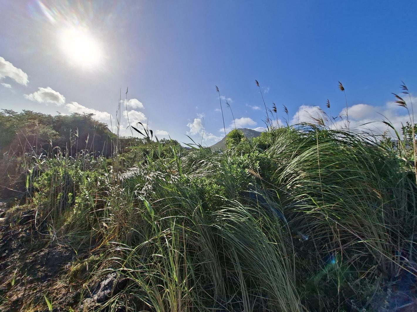 1 059 m² Land available in Pringle Bay