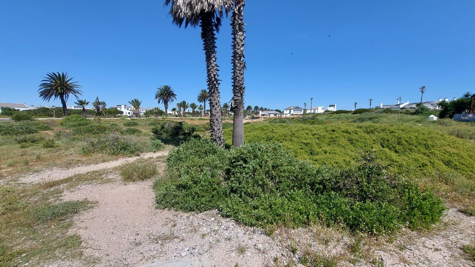 214 m² Land available in Shelley Point