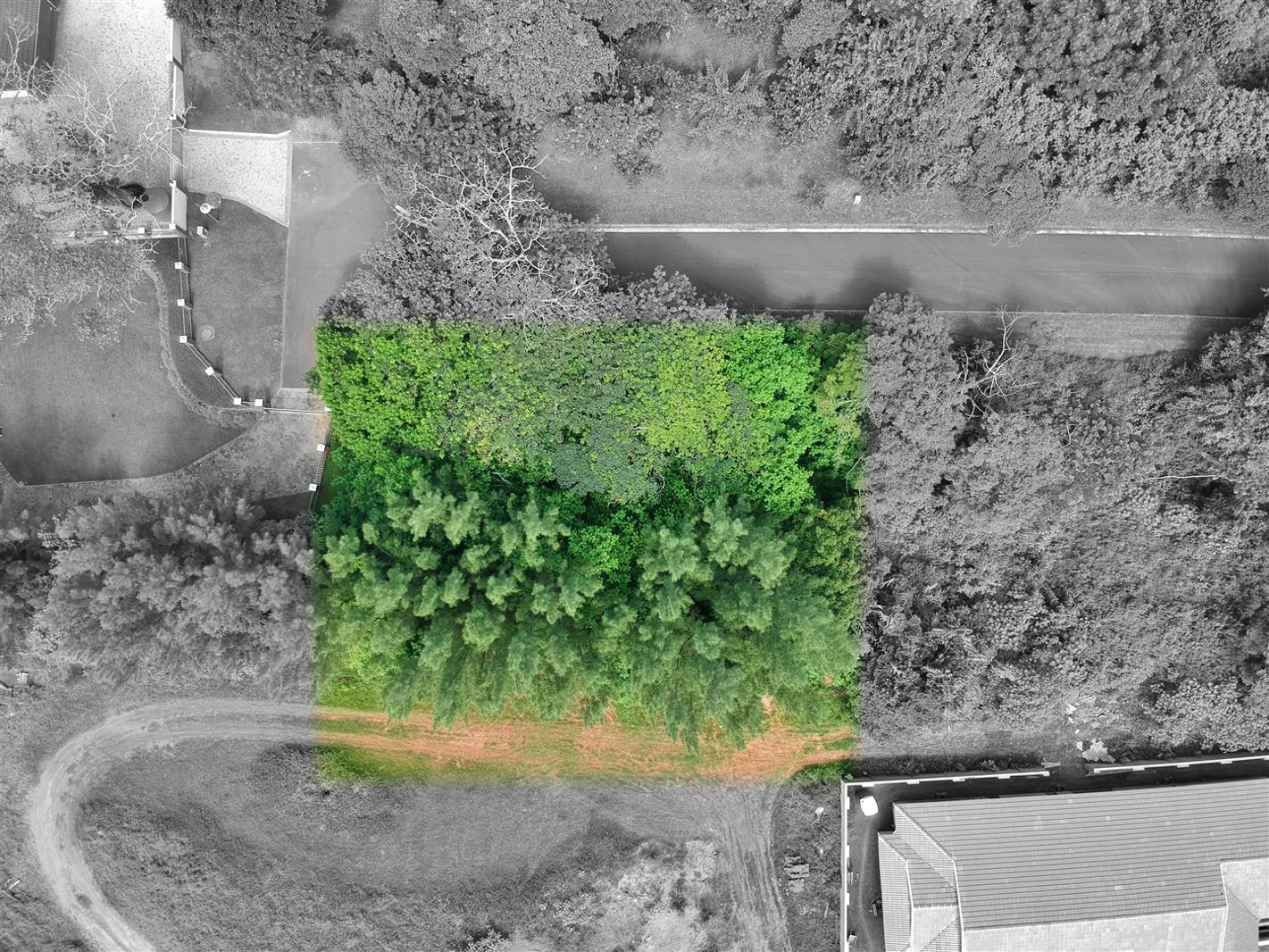 1 119 m² Land available in Kelso