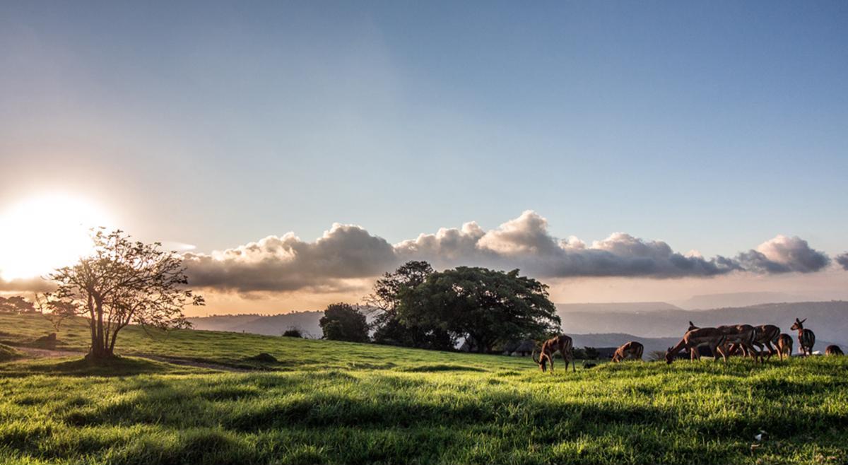 1 508 m² Land available in Hillcrest Central