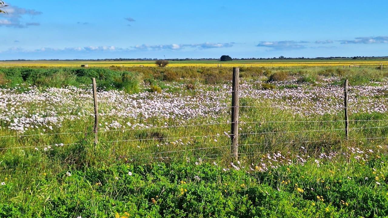 1 487 m² Land available in Aurora