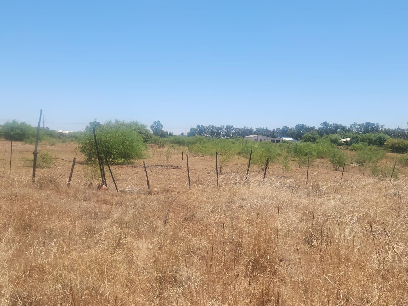 892 m² Land available in Nieuwoudtville