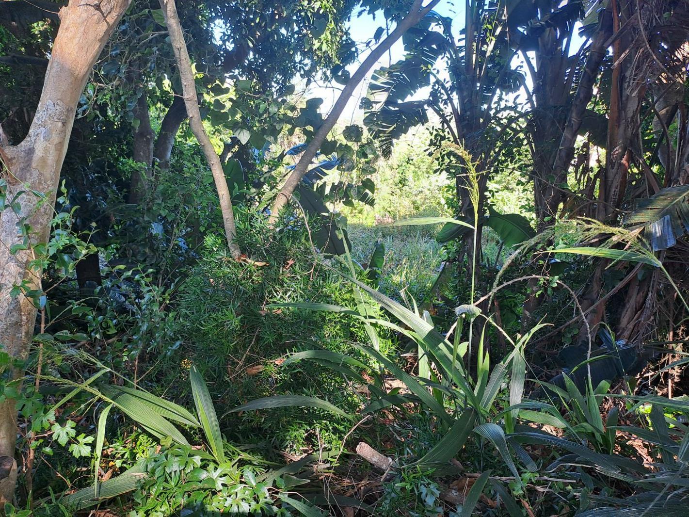 1 115 m² Land available in Kelso