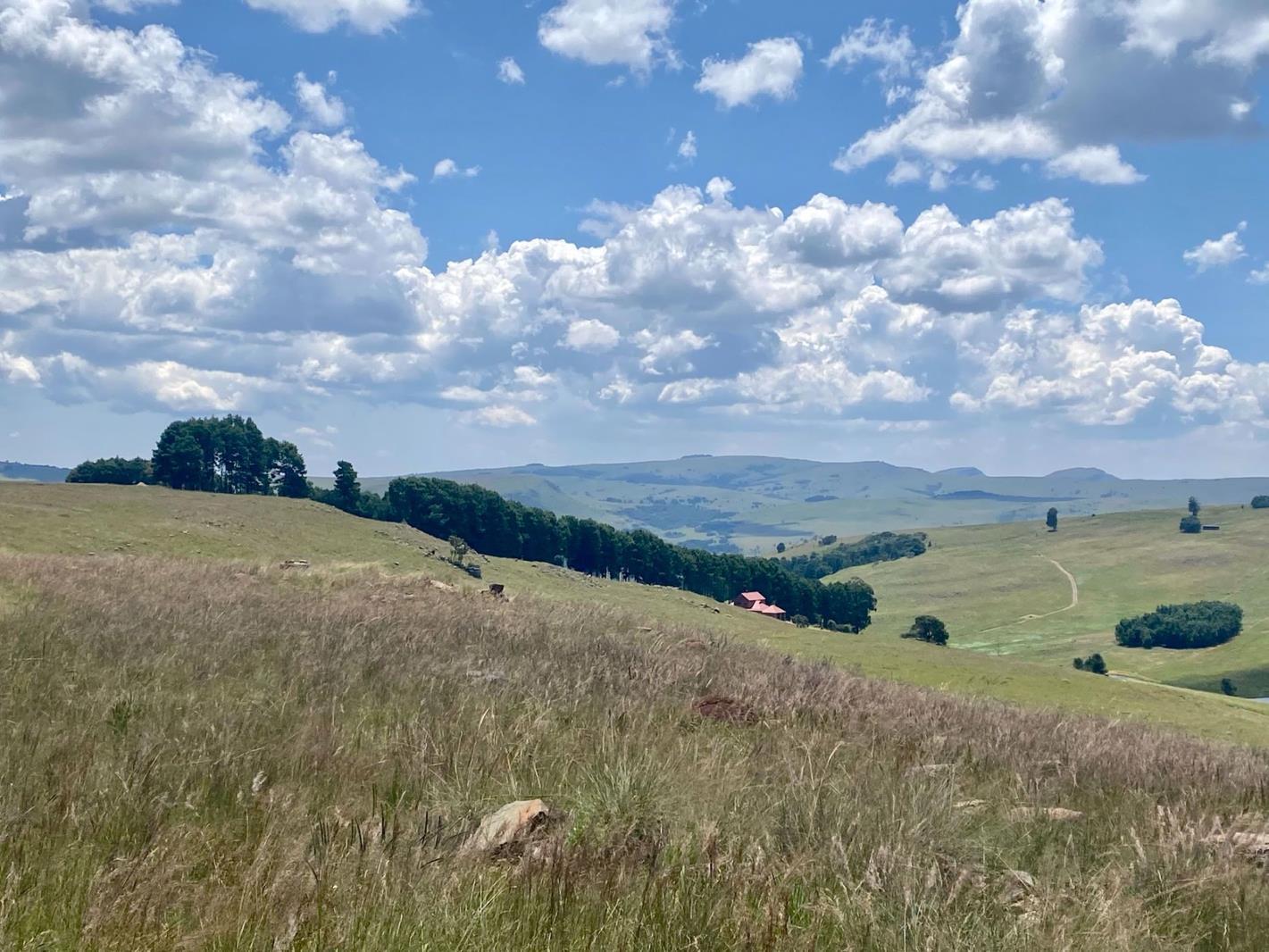 1 ha Land available in Dullstroom