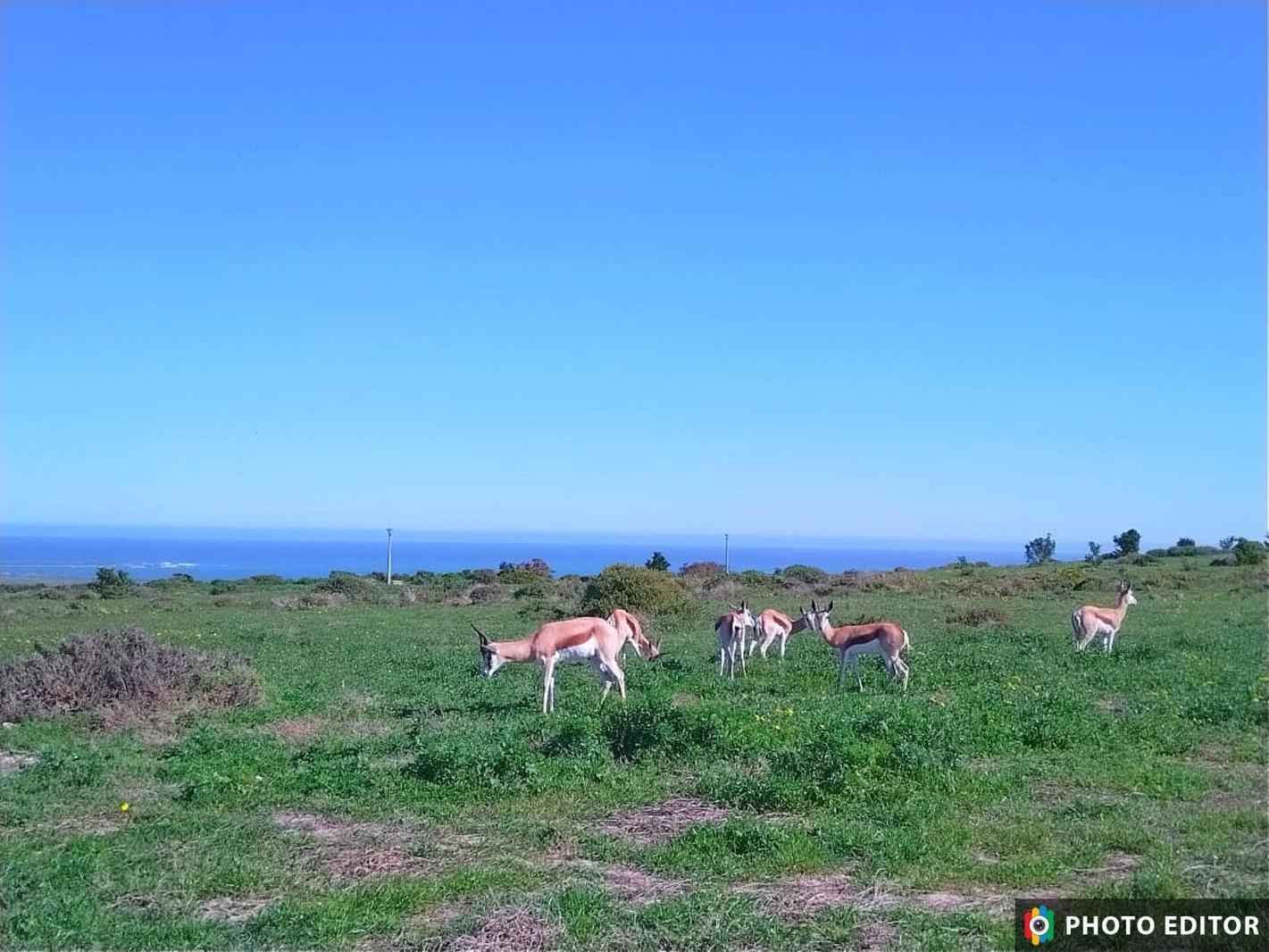 782 m² Land available in Hoogland