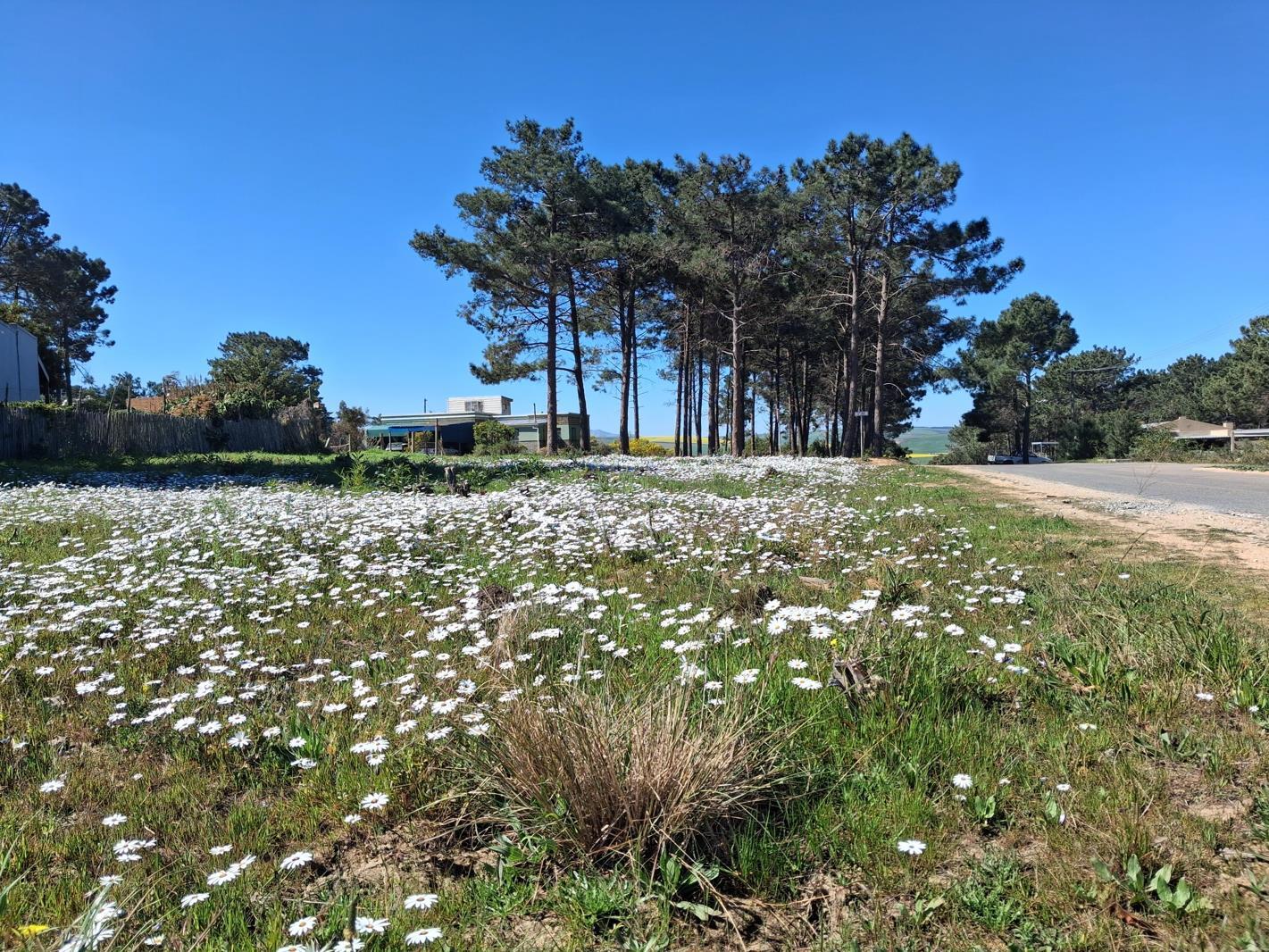 595 m² Land available in Bot River
