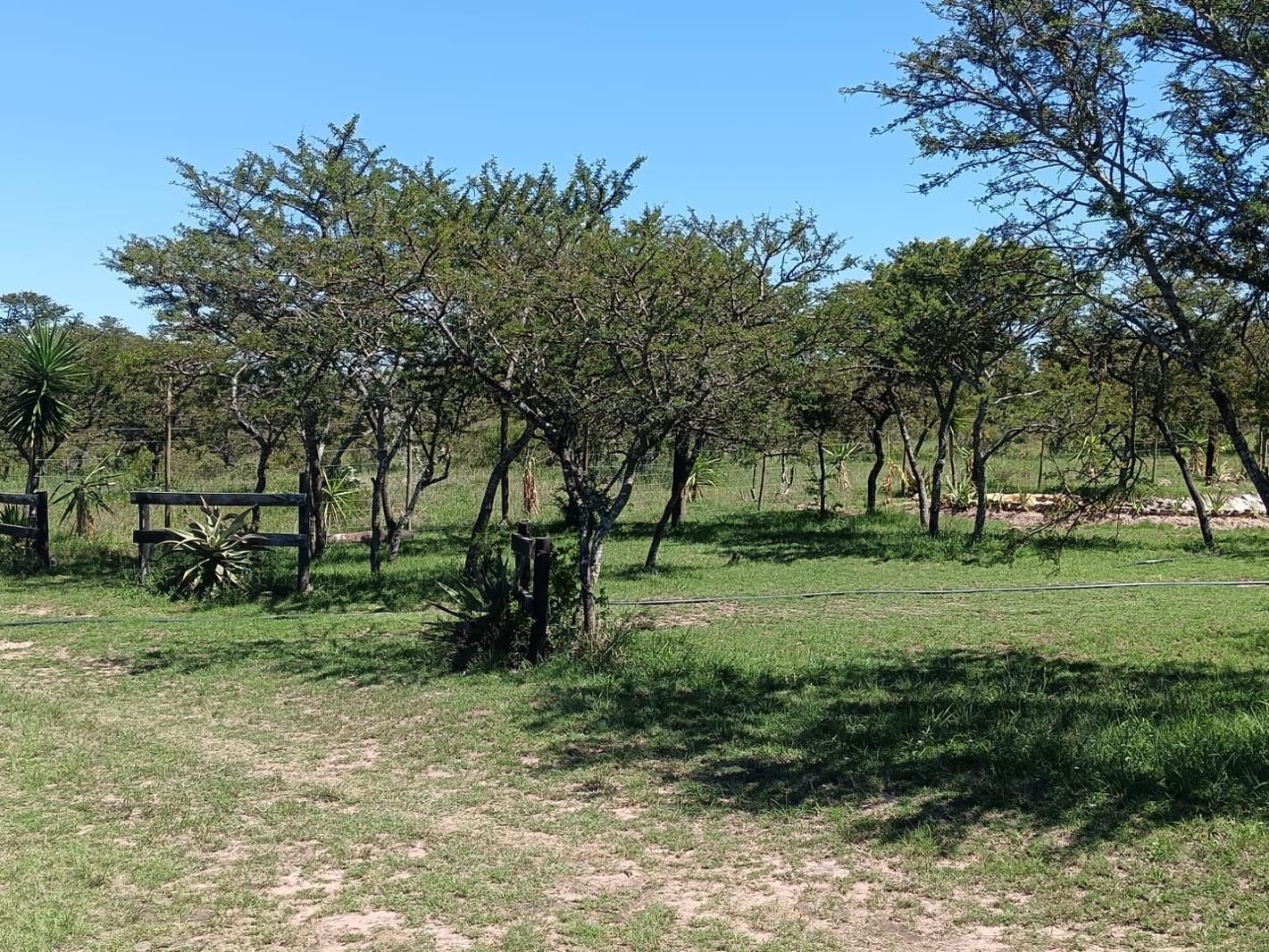 2 024 m² Land available in Bathurst