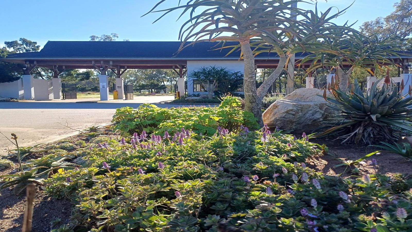 600 m² Land available in Wedgewood Golf Estate