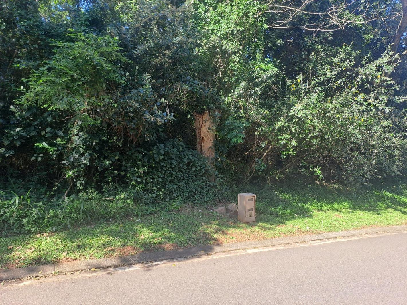 1 110 m² Land available in Kelso