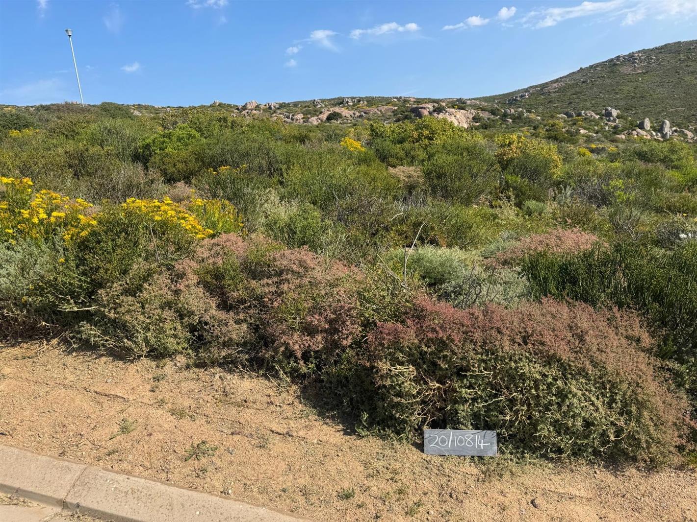278 m² Land available in St Helena Views