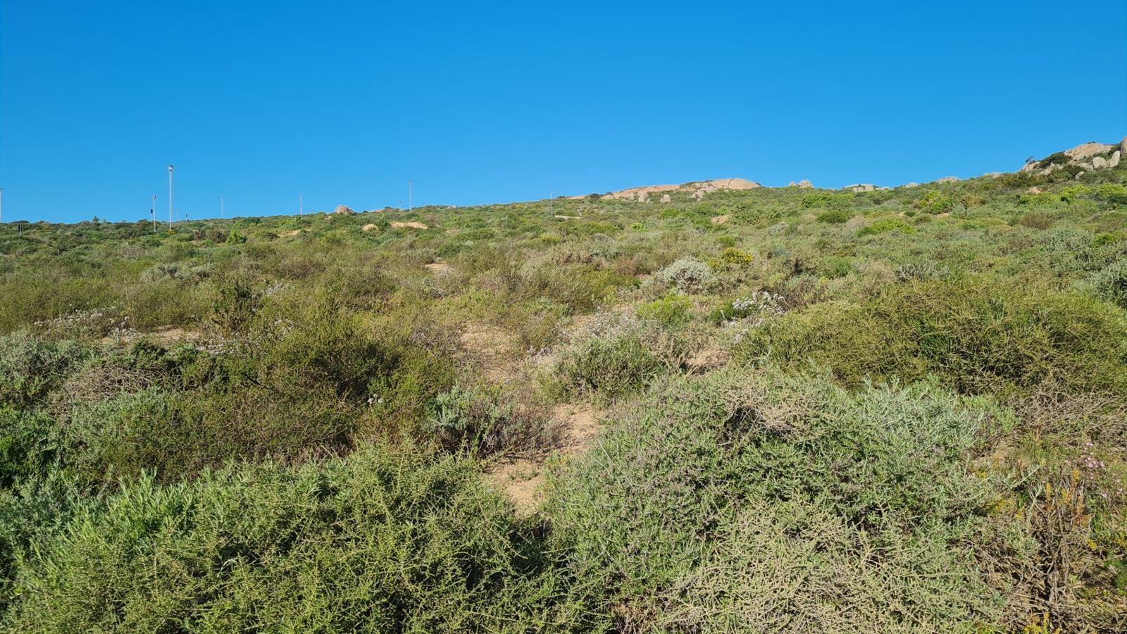 312 m² Land available in St Helena Views