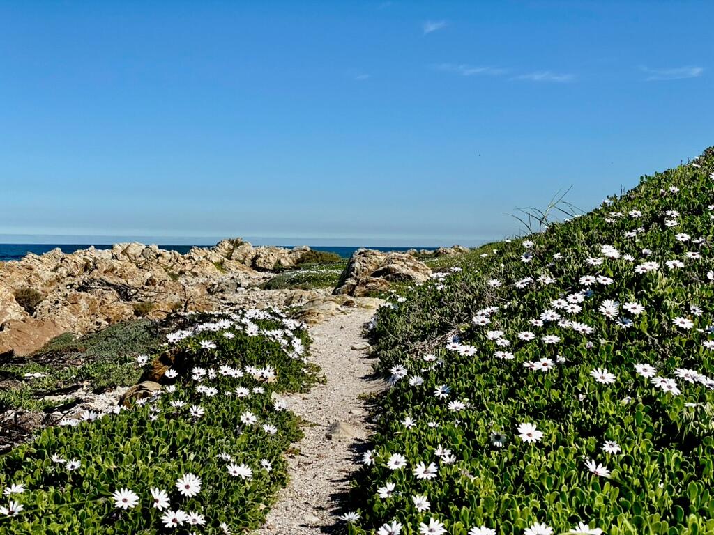 124 m² Land available in Pearly Beach