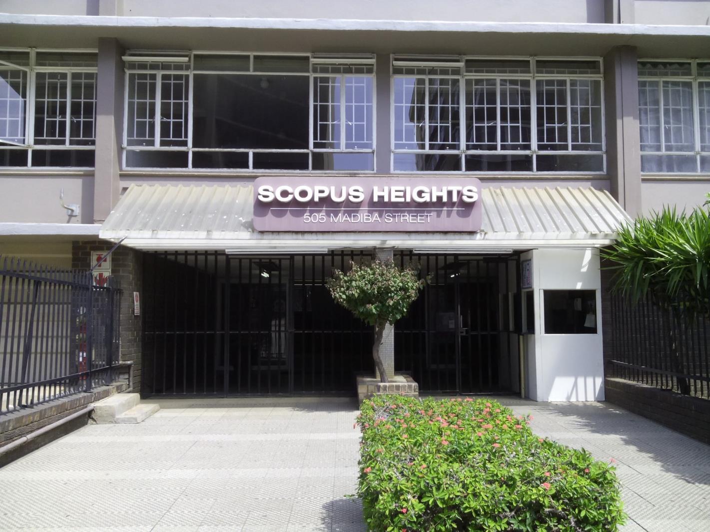2.5 Bedroom Apartment in Arcadia