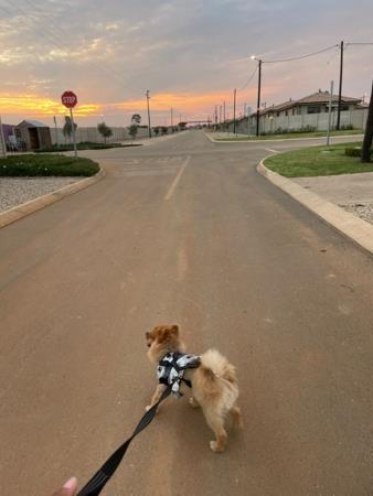 2 Bedroom House in Sebokeng