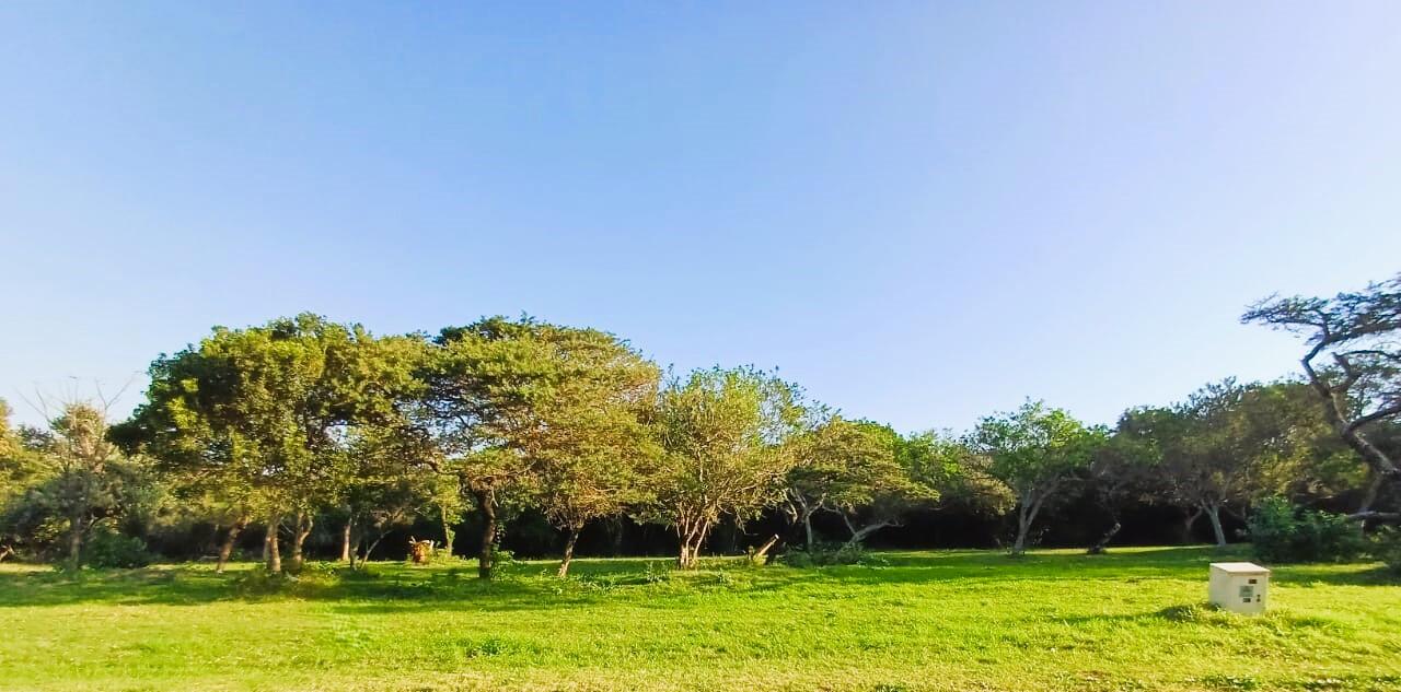 809 m² Land available in Cintsa