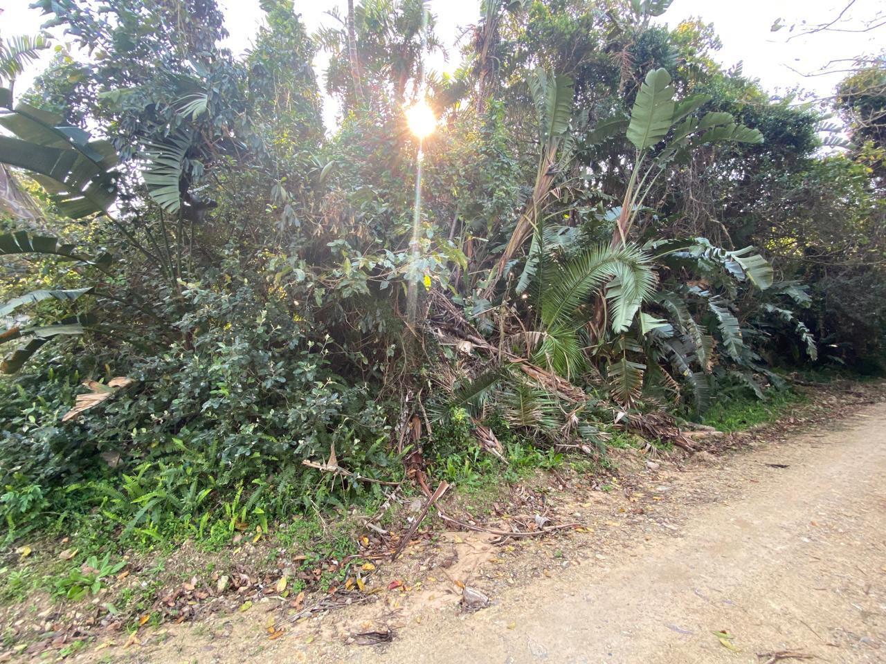 1 382 m² Land available in Palm Beach