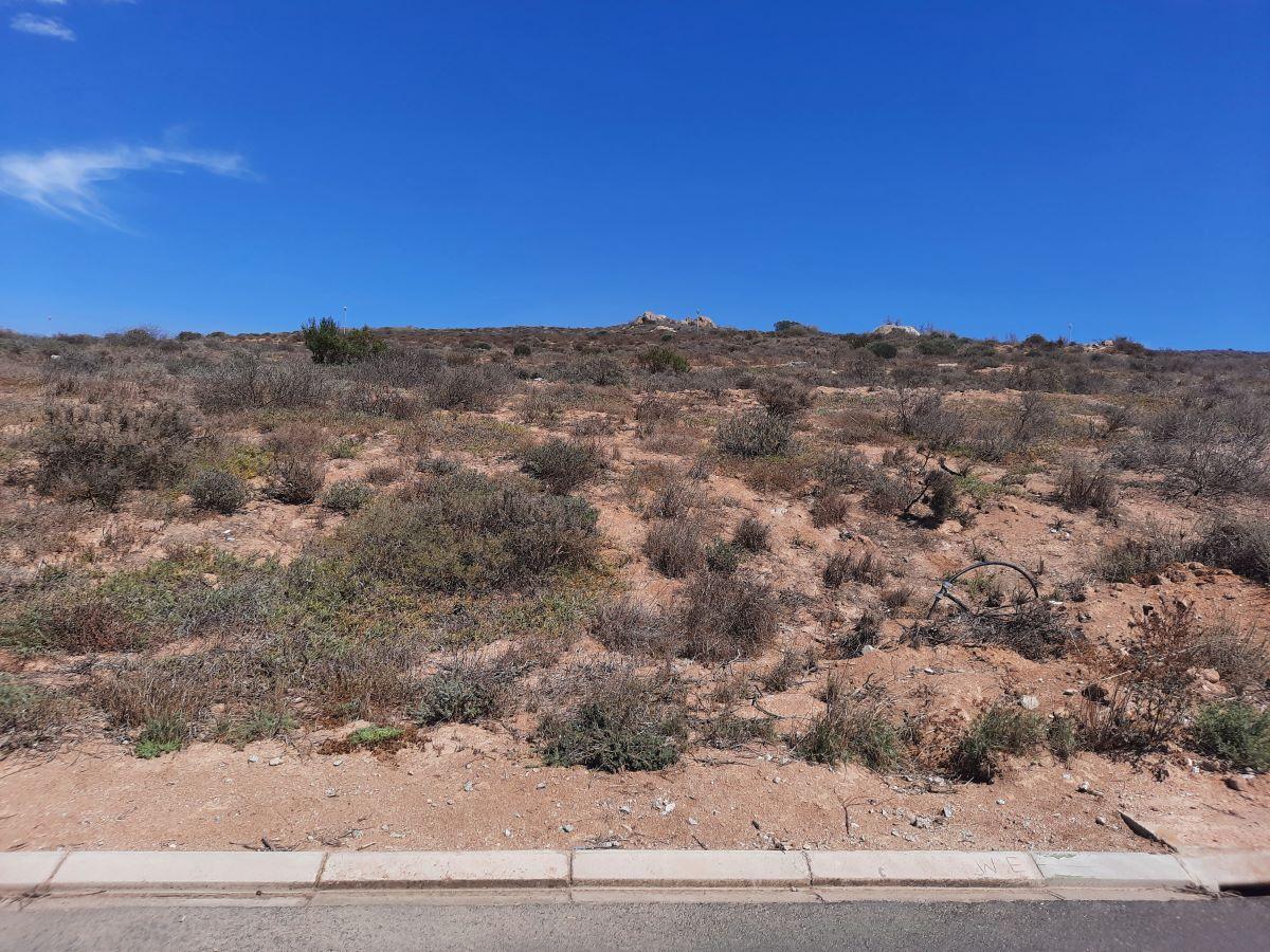 883 m² Land available in Britannica Heights