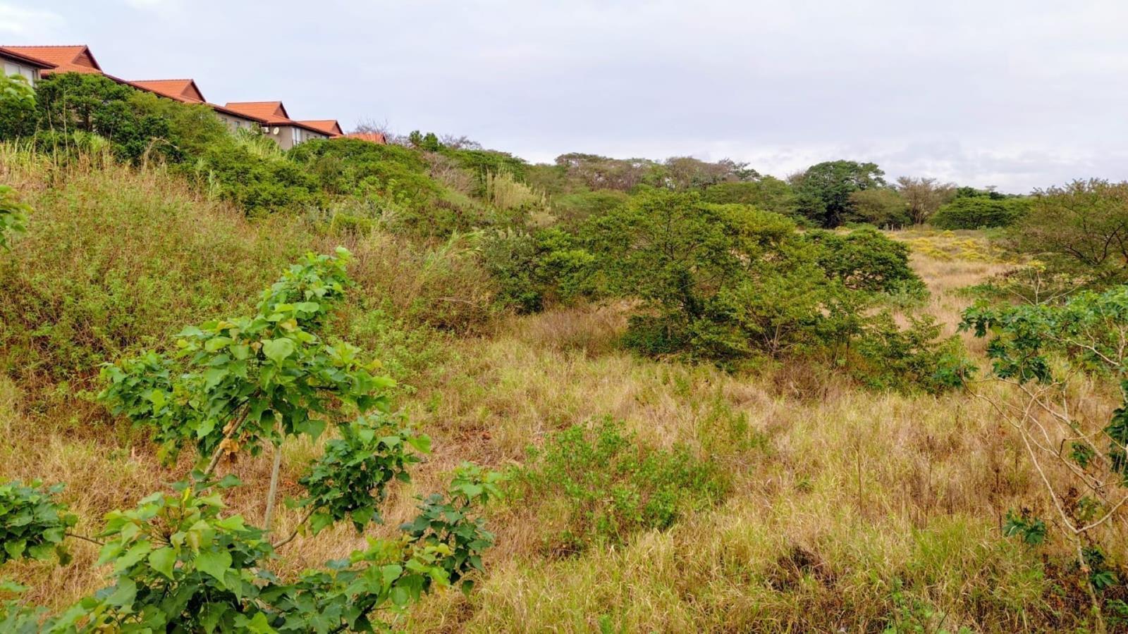 1.4 ha Land available in Zimbali Estate