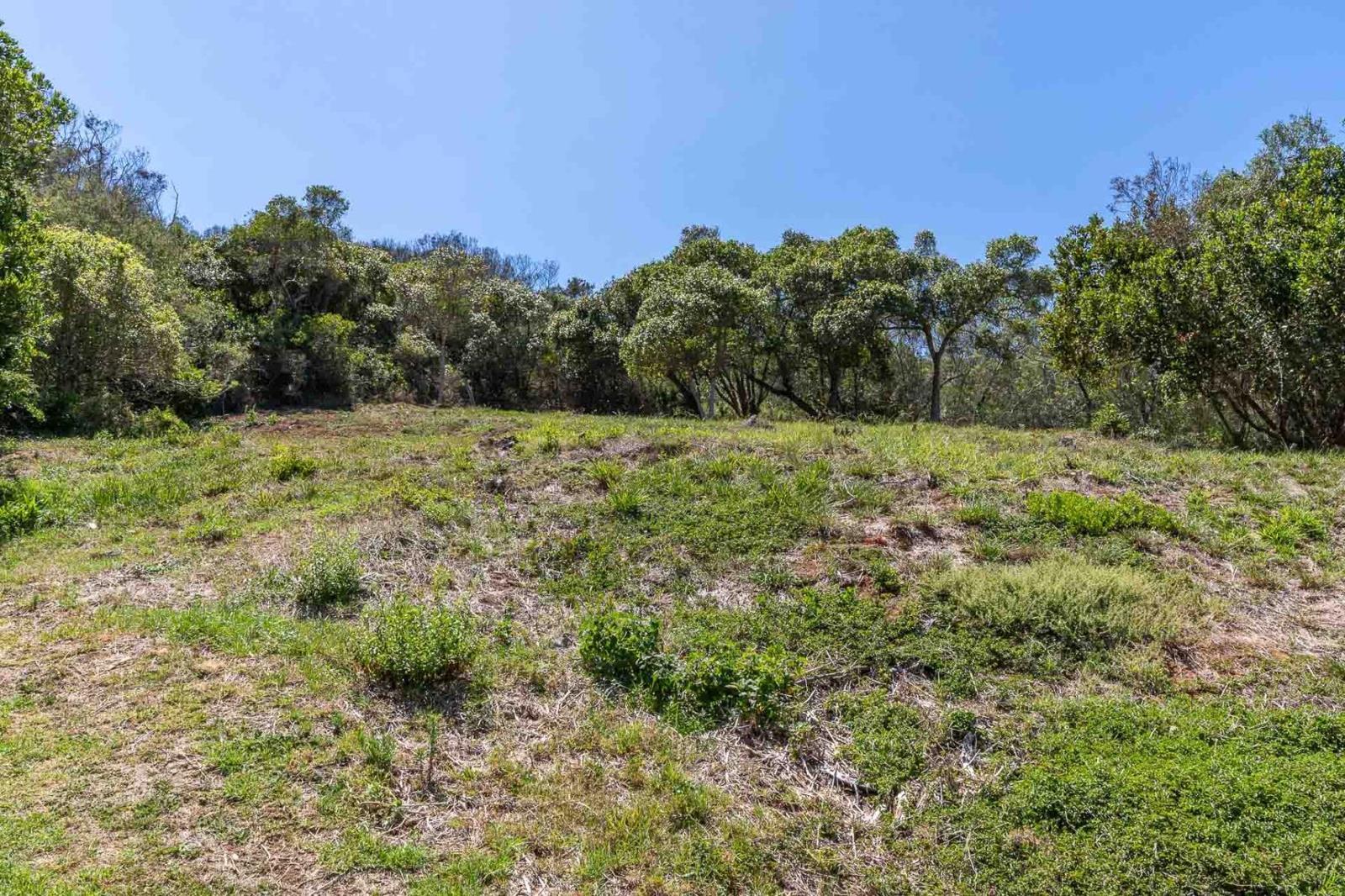 904 m² Land available in Glentana