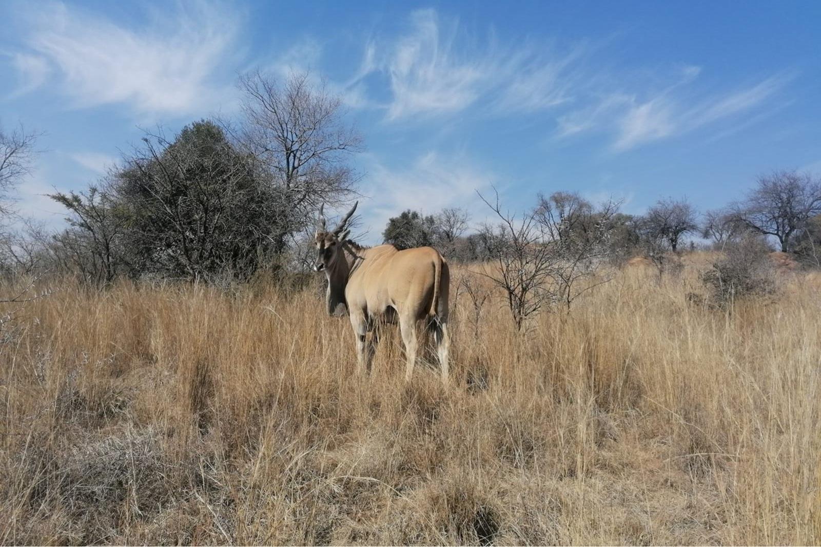 1.1 ha Land available in Sterkfontein