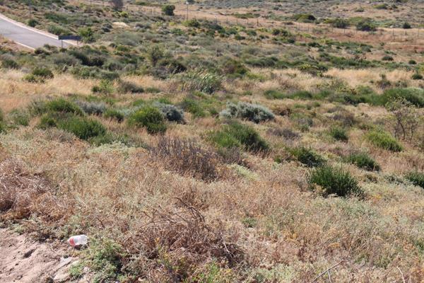 413 m² Land available in St Helena Bay