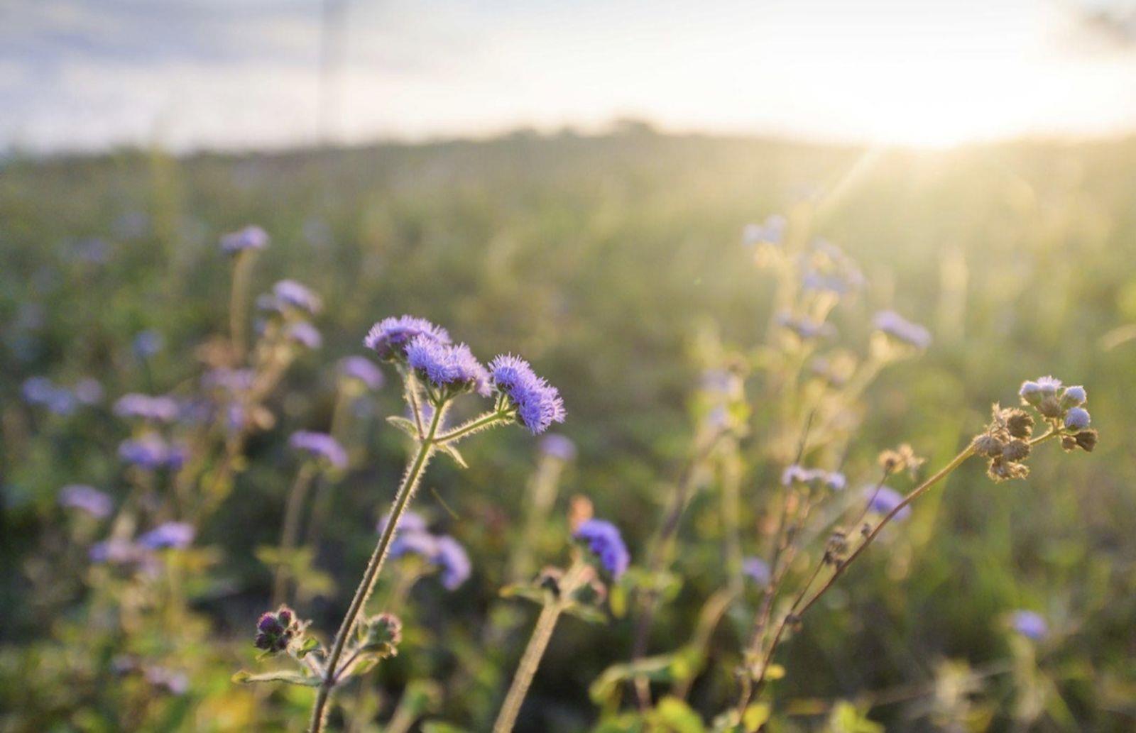 468 m² Land available in Ballito