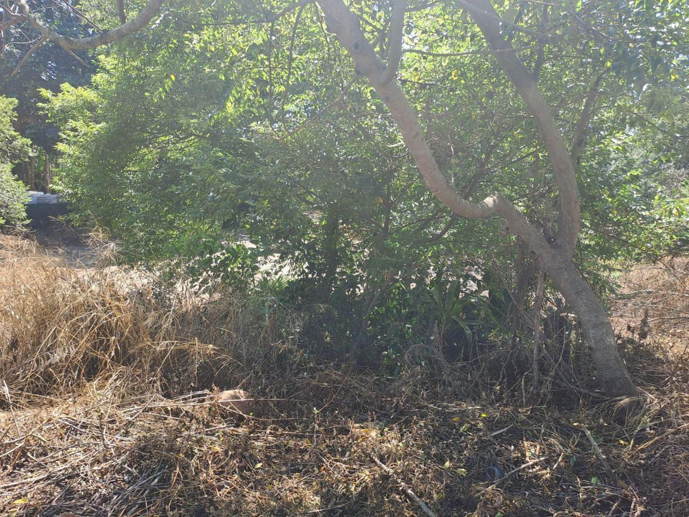 1 280 m² Land available in Kelso