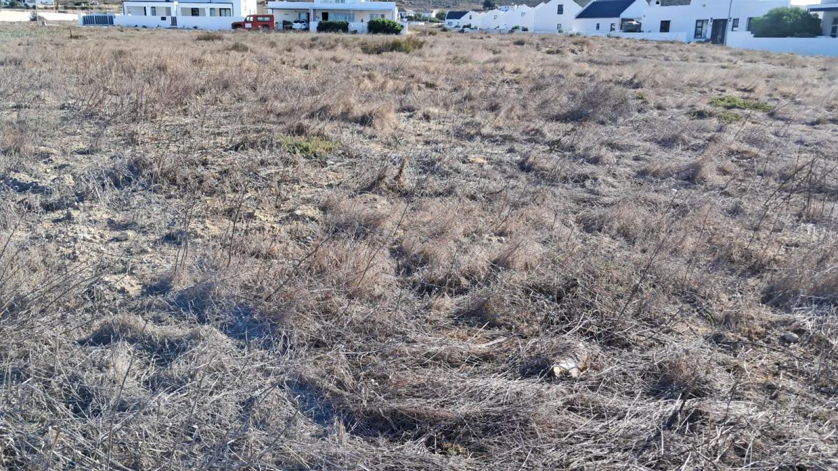 500 m² Land available in St Helena Bay