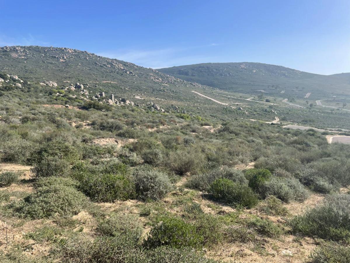 307 m² Land available in St Helena Views