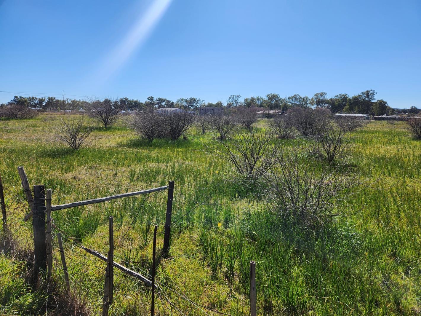 891 m² Land available in Nieuwoudtville