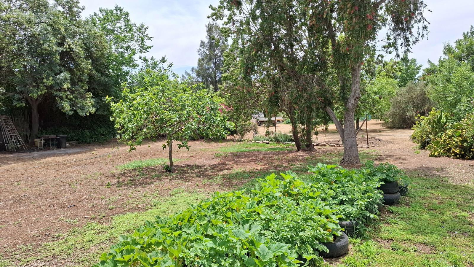 3 638 m² Land available in McGregor