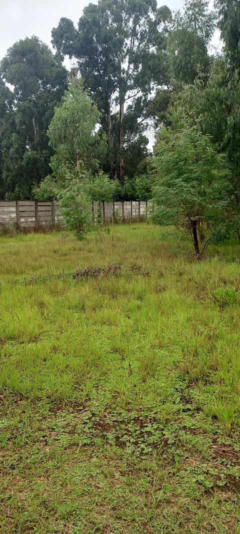 1 023 m² Land available in Himeville