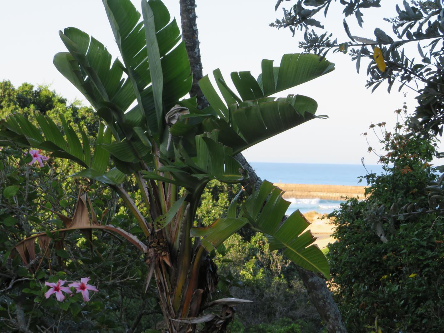 665 m² Land available in Port Alfred Central