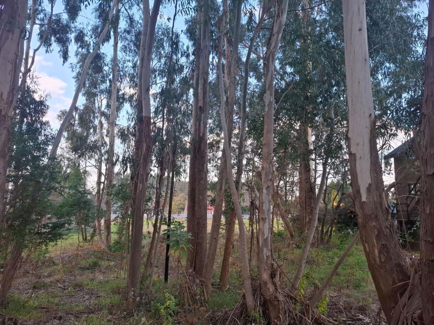 700 m² Land available in Dullstroom