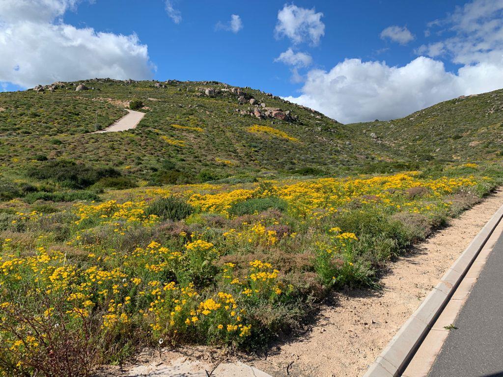 308 m² Land available in St Helena Views