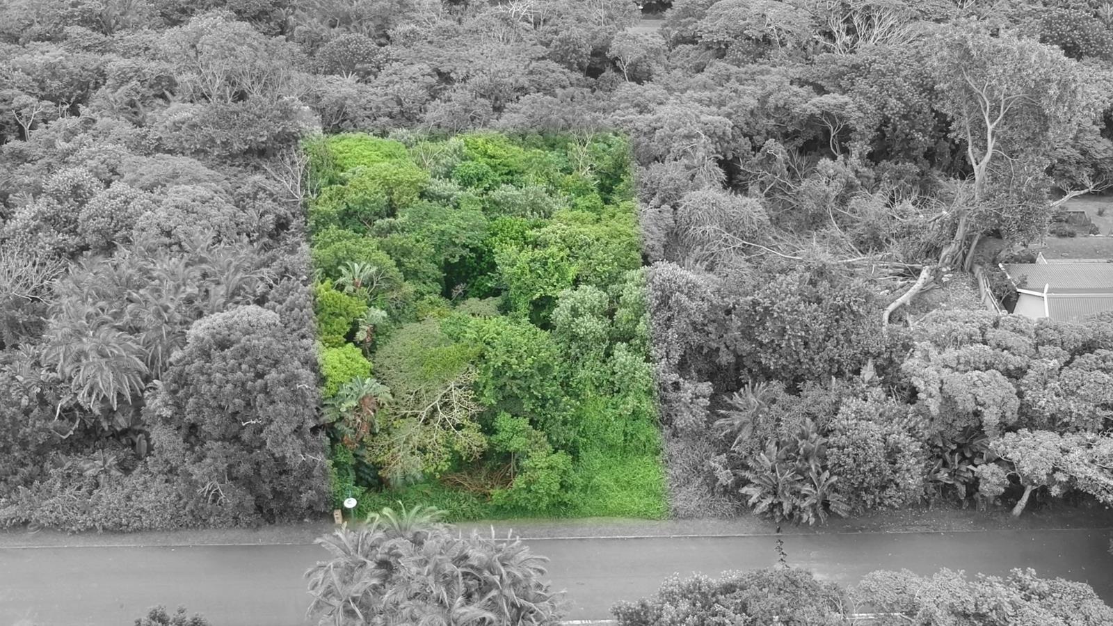1 116 m² Land available in Kelso