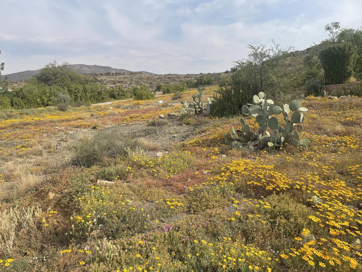 400 m² Land available in Prince Albert
