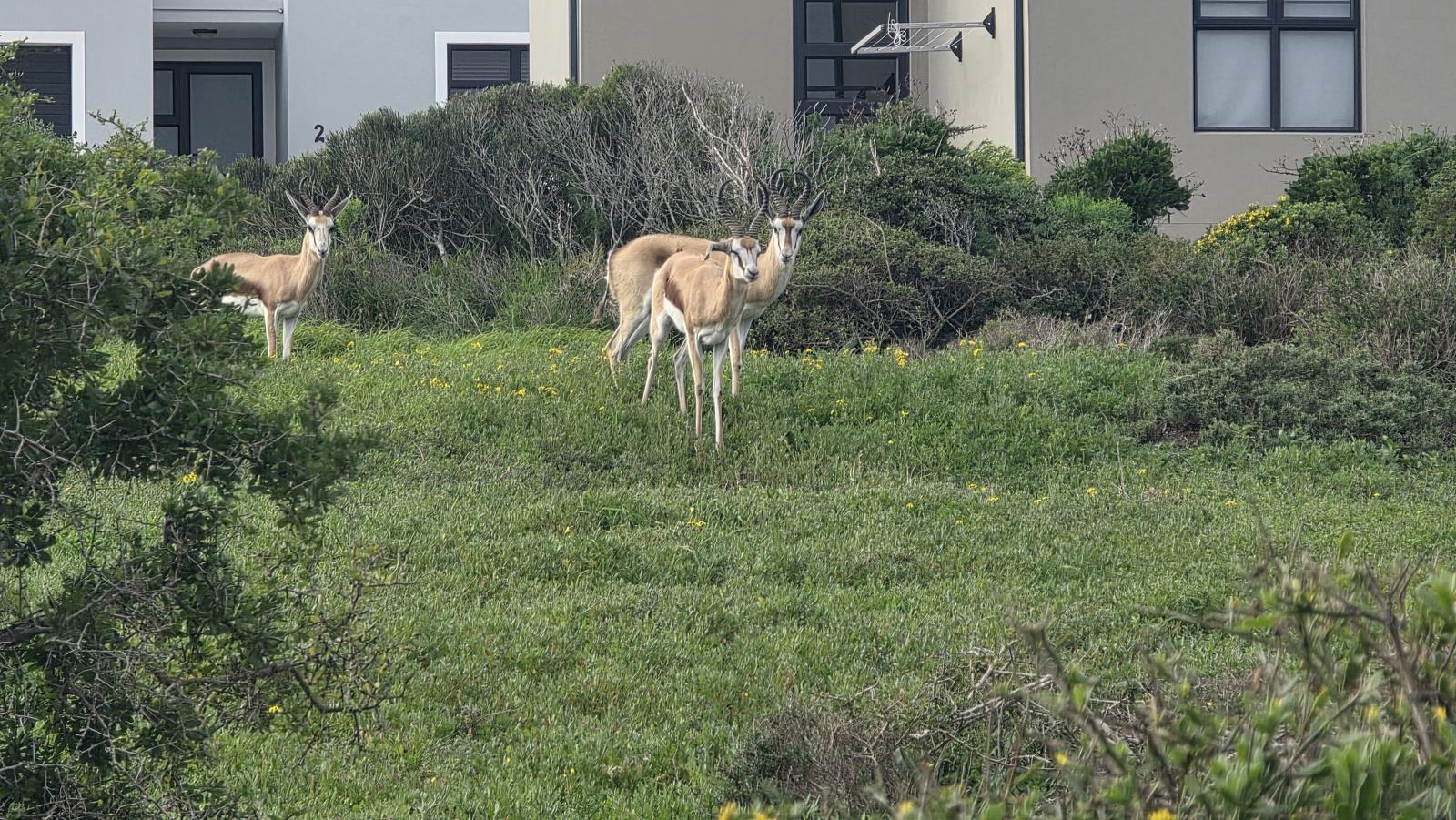 670 m² Land available in Hoogland