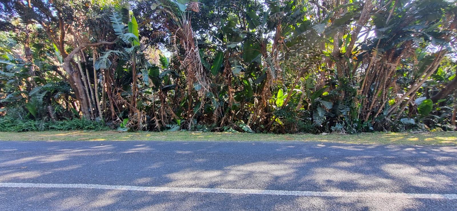 1 384 m² Land available in Trafalgar