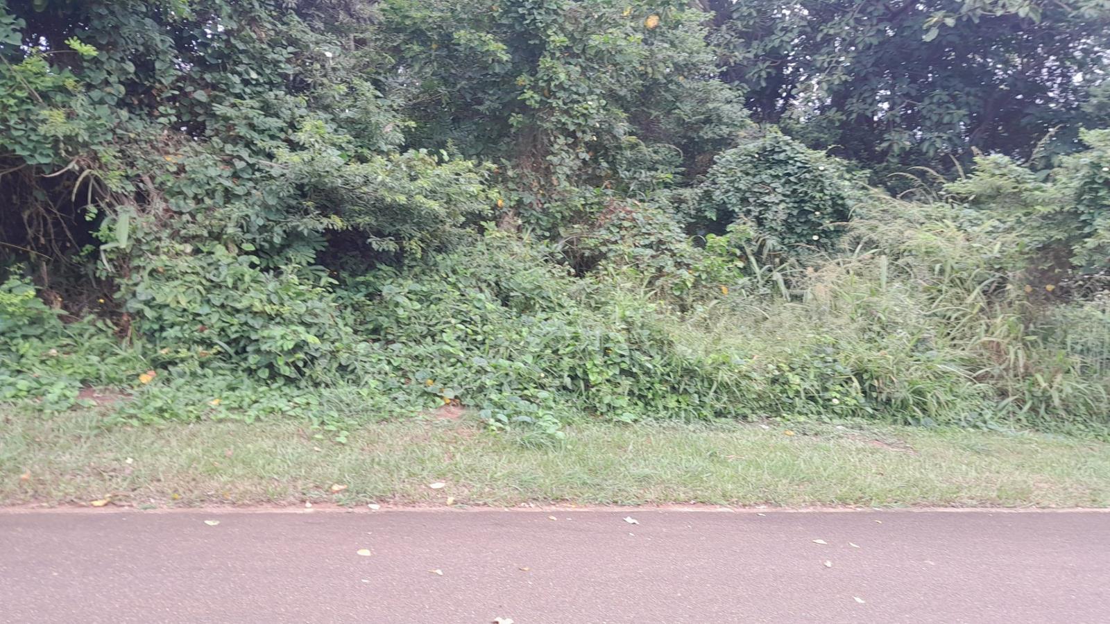 1 165 m² Land available in Kelso