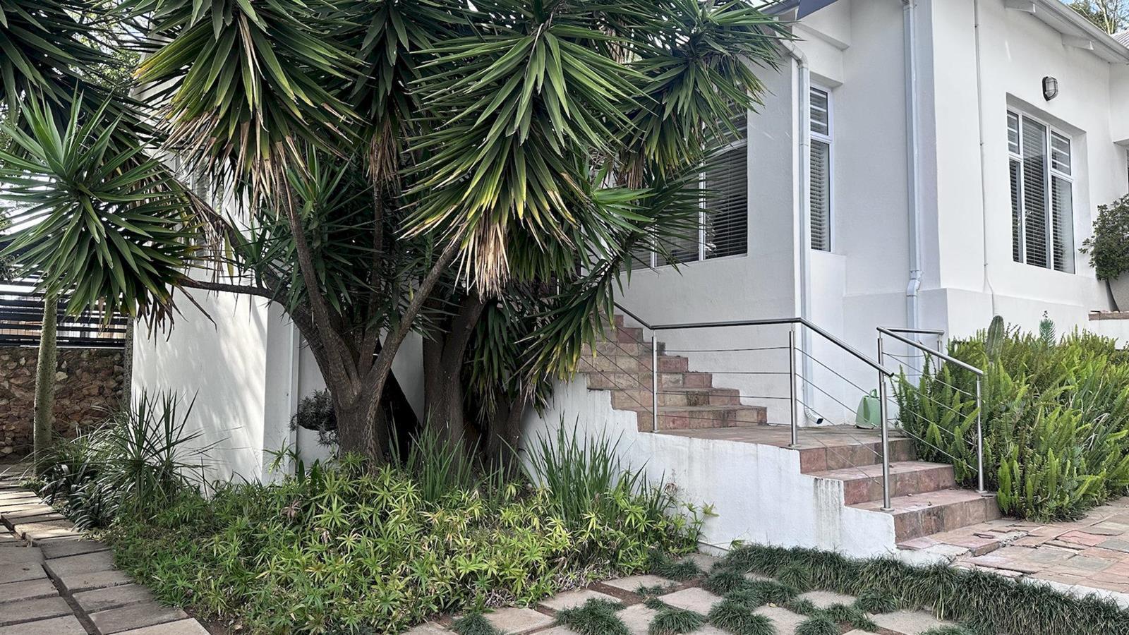 3 Bedroom House in Kensington