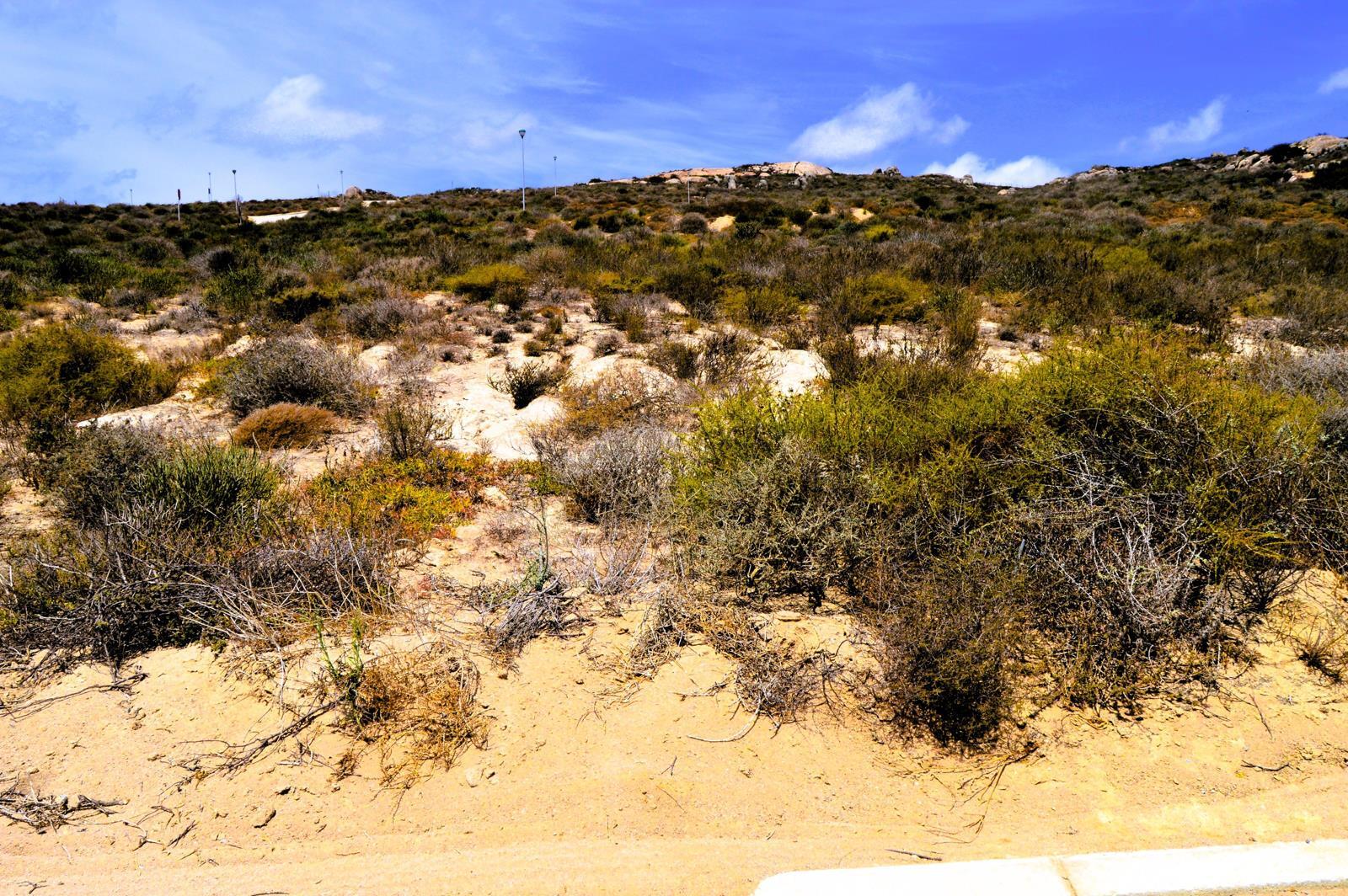 312 m² Land available in St Helena Bay