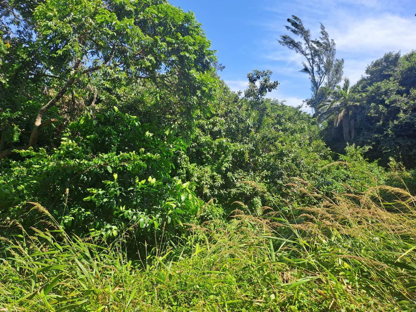 1 207 m² Land available in Kelso