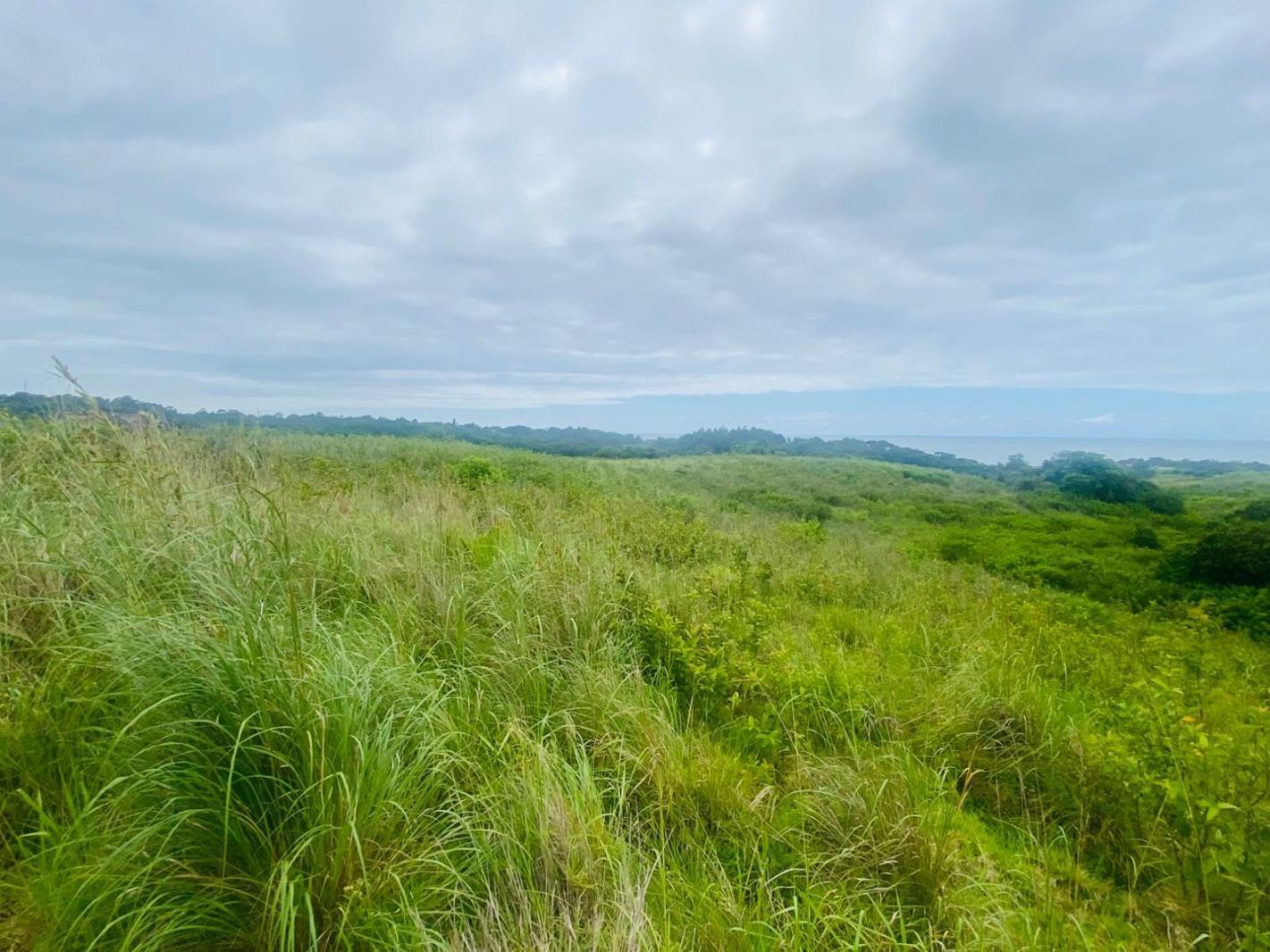 1 822 m² Land available in Port Edward