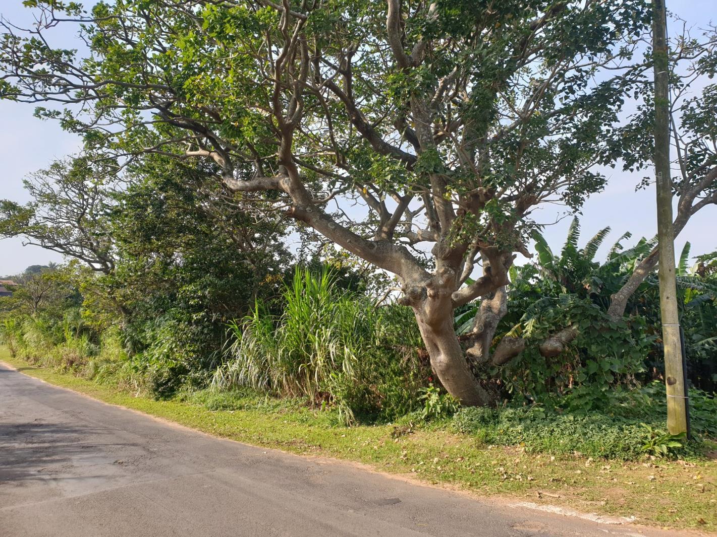 4 721 m² Land available in Port Edward
