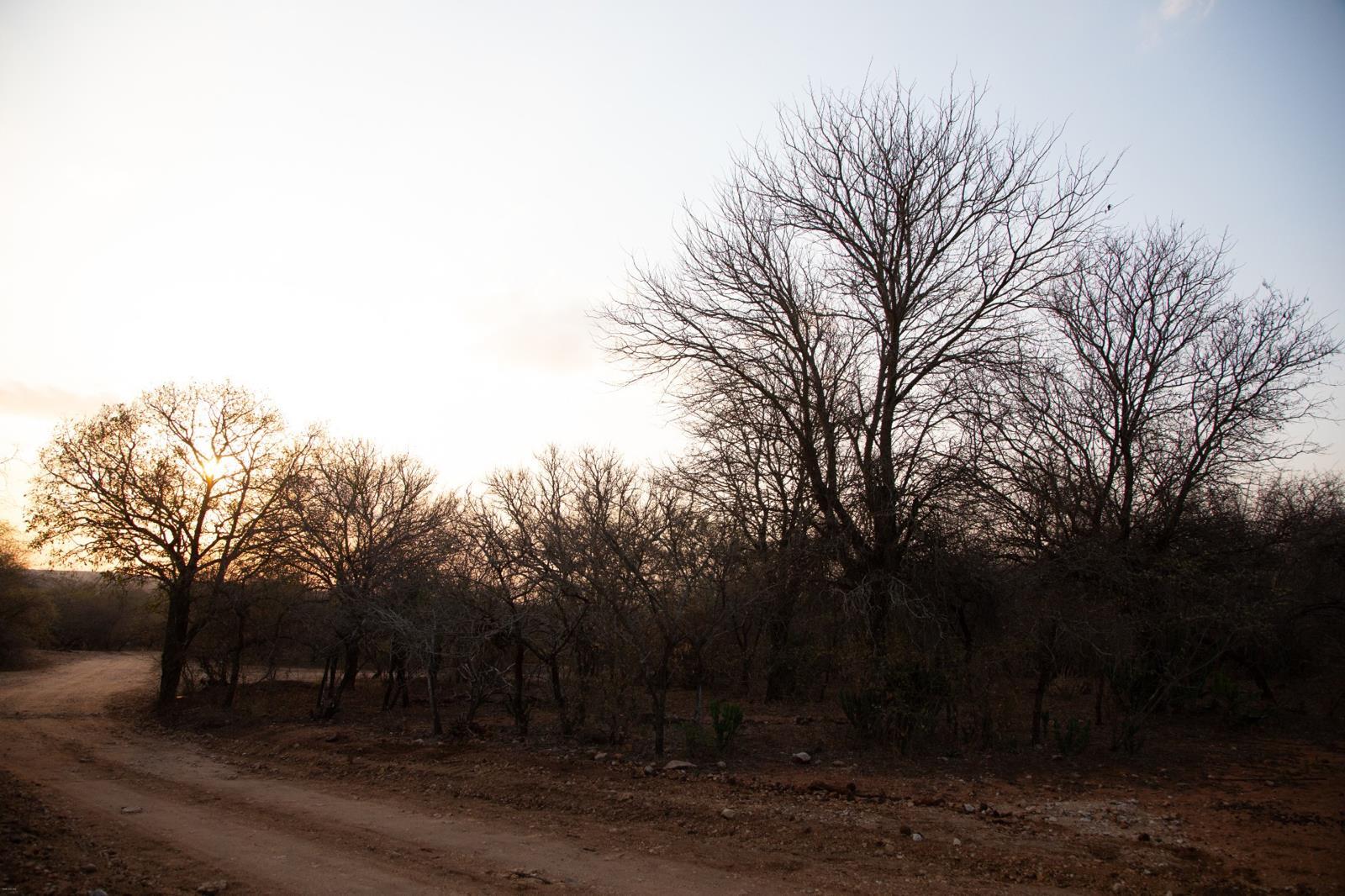 2 000 m² Land available in Marloth Park