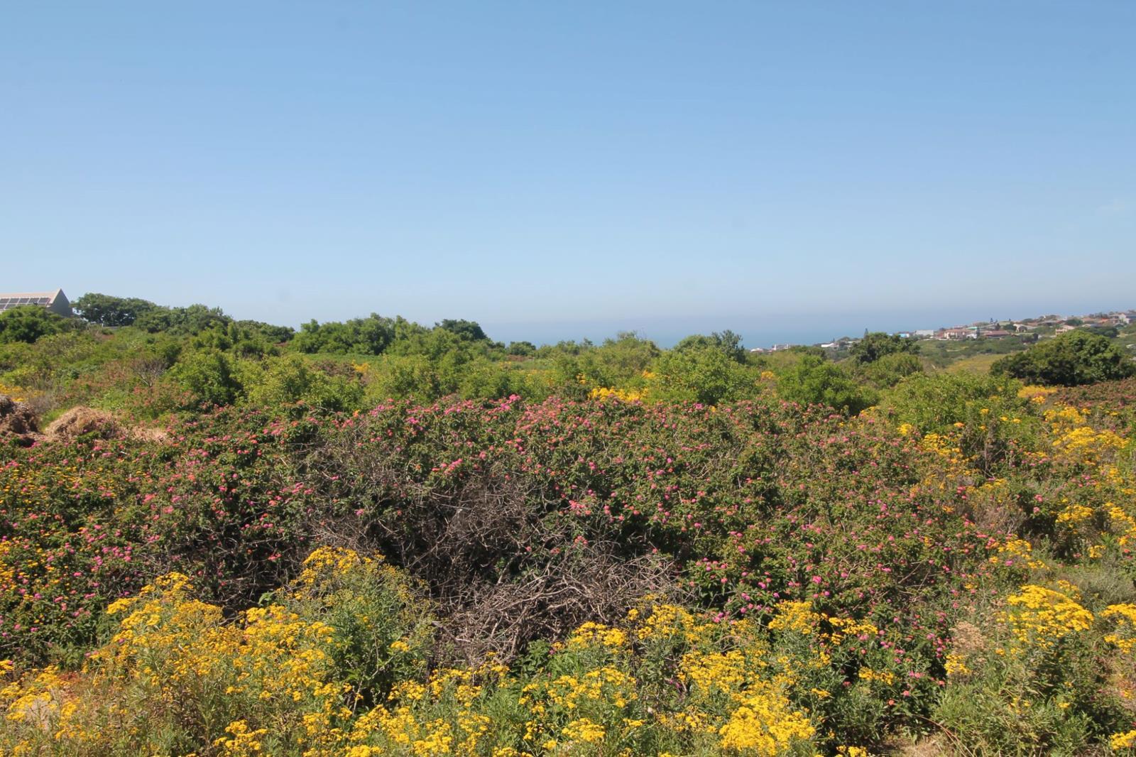 1 344 m² Land available in Port Alfred