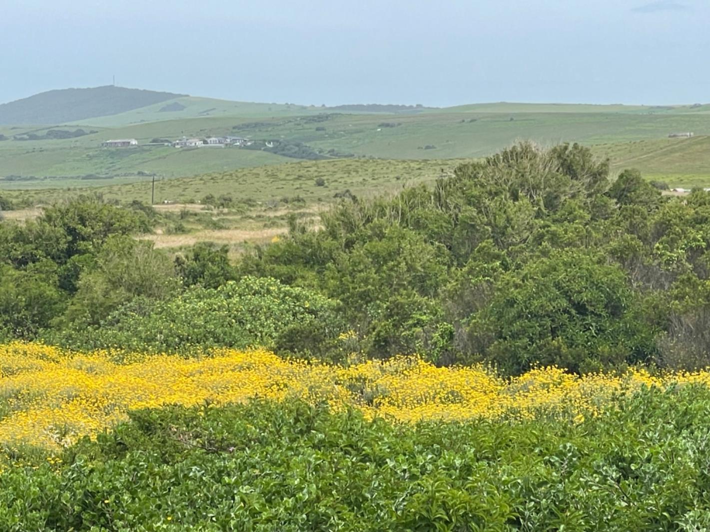 800 m² Land available in Boknesstrand